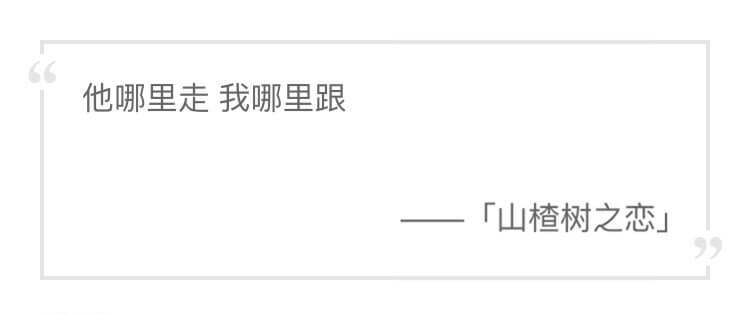 他哪里走 我哪里跟