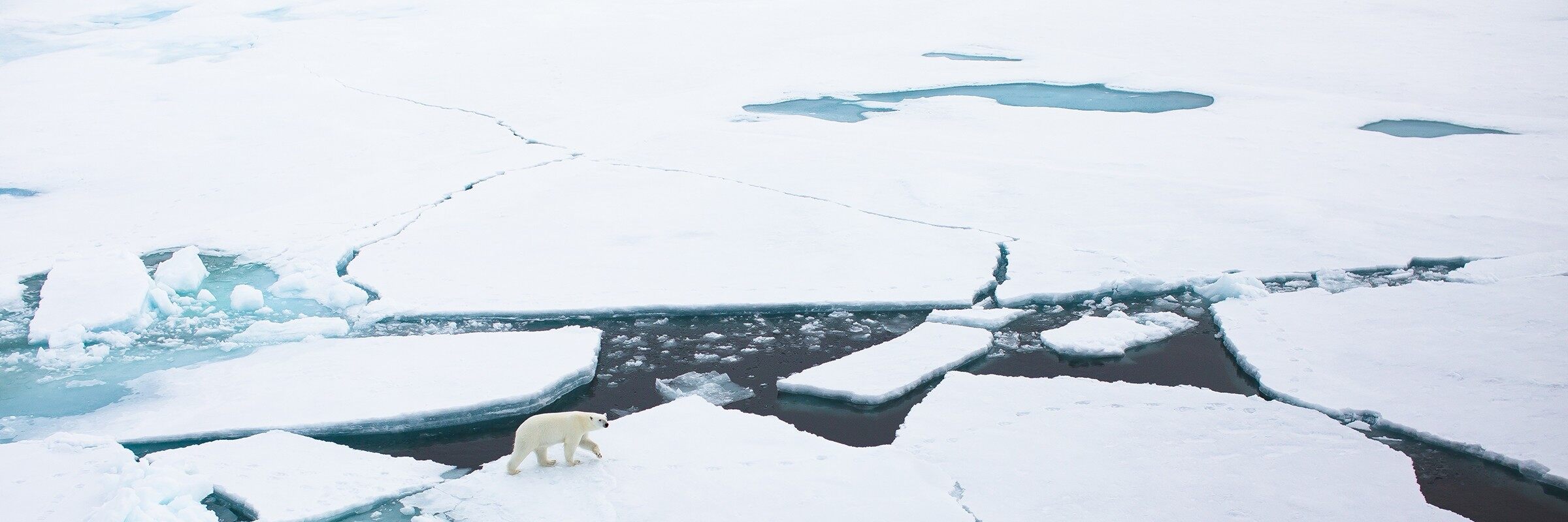 ArcticDB (为量化而设计的数据库)