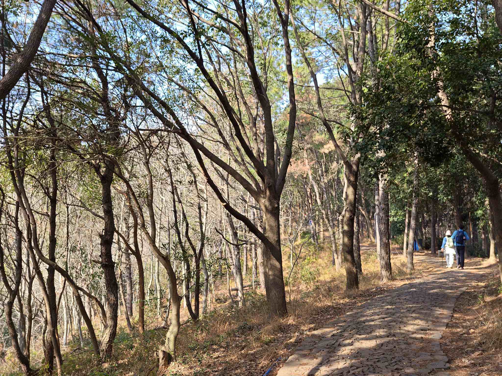 苏州东山莫厘峰-1